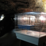 uwe freiberg 145.JPG