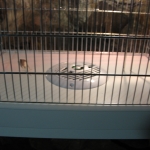 uwe freiberg 147.JPG